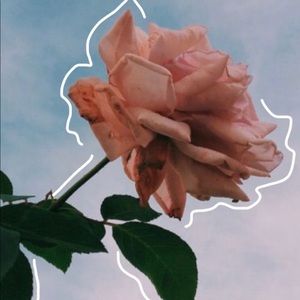 Meet your Posher, Gabby